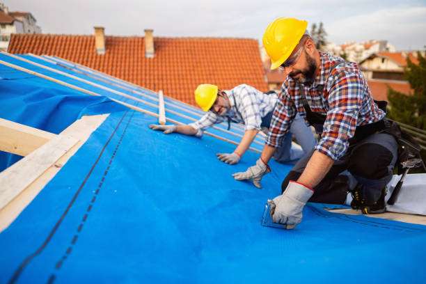 Best Gutter Installation and Roofing  in Findlay, OH