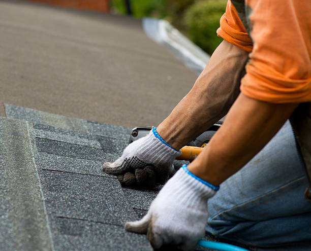Professional Roofing Contractor in Findlay, OH